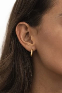 Wild Ivy Best Sellers Marais Earrings Gold